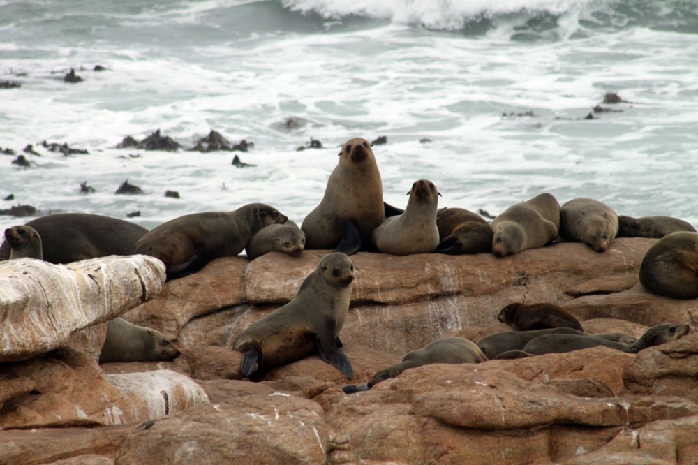 Namaqua National Park