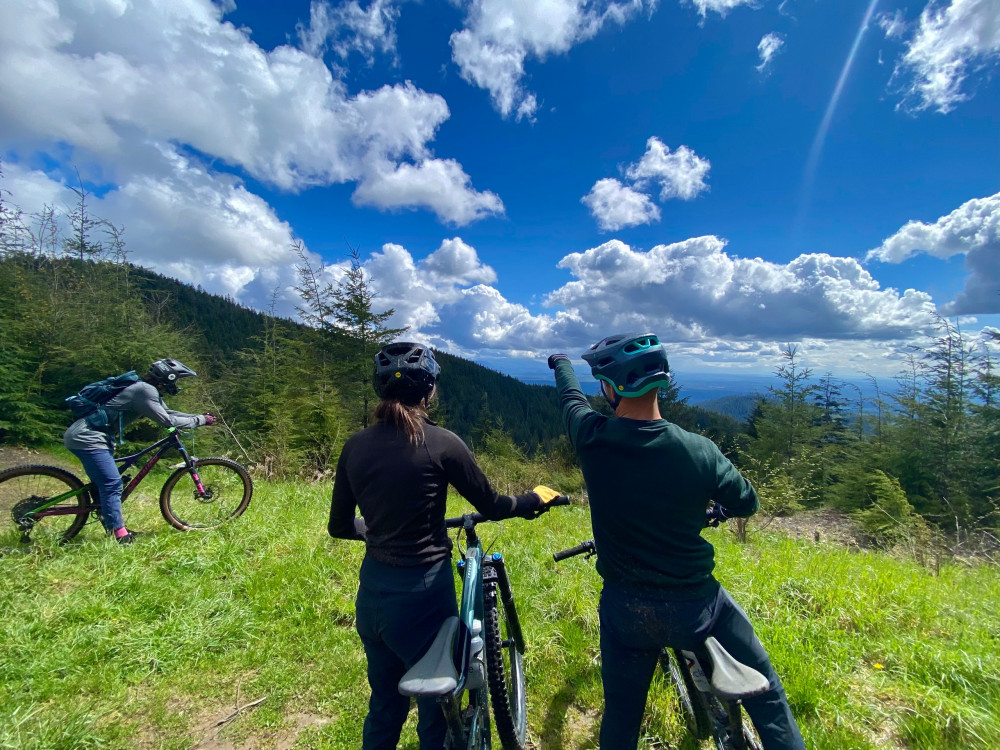 Half Day Mountain Bike Tour from Seattle