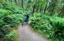 Seattle Mountain Bike Tours9