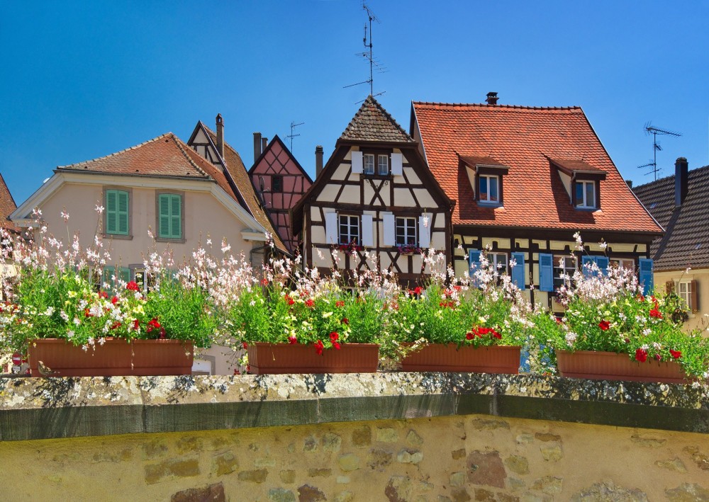 Authentic Alsace Villages Tour: Half Day Cultural Experience from Colmar