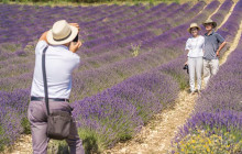 Bordovino Wine Tasting Day Tours5