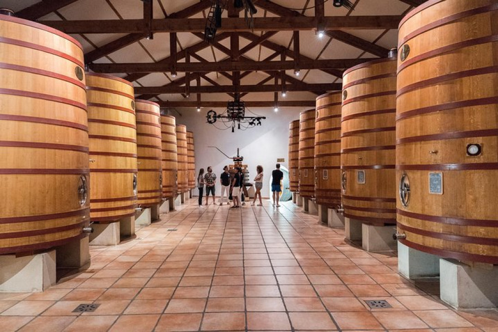 Prestige Châteauneuf-du-pape Wine Tour