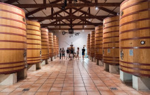 Bordovino Wine Tasting Day Tours1