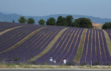 Bordovino Wine Tasting Day Tours7