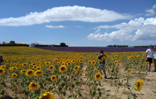 Bordovino Wine Tasting Day Tours1