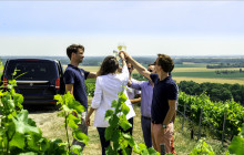 Bordovino Wine Tasting Day Tours10