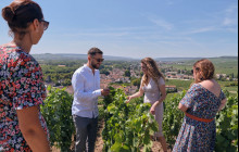 Bordovino Wine Tasting Day Tours2