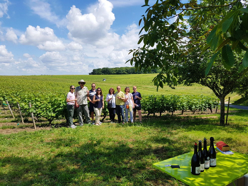 Loire Valley Half Day Wine Tour From Tours : Winery In Vouvray