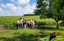 Bordovino Wine Tasting Day Tours1