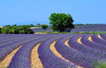 Bordovino Wine Tasting Day Tours2