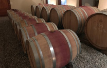 Bordovino Wine Tasting Day Tours2