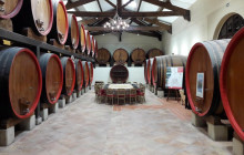 Bordovino Wine Tasting Day Tours6