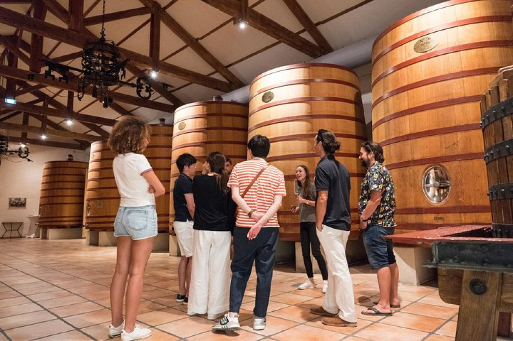 Afternoon Wine Tour To Châteauneuf-du-pape