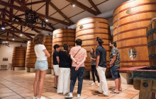 Bordovino Wine Tasting Day Tours1