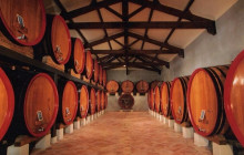 Bordovino Wine Tasting Day Tours3