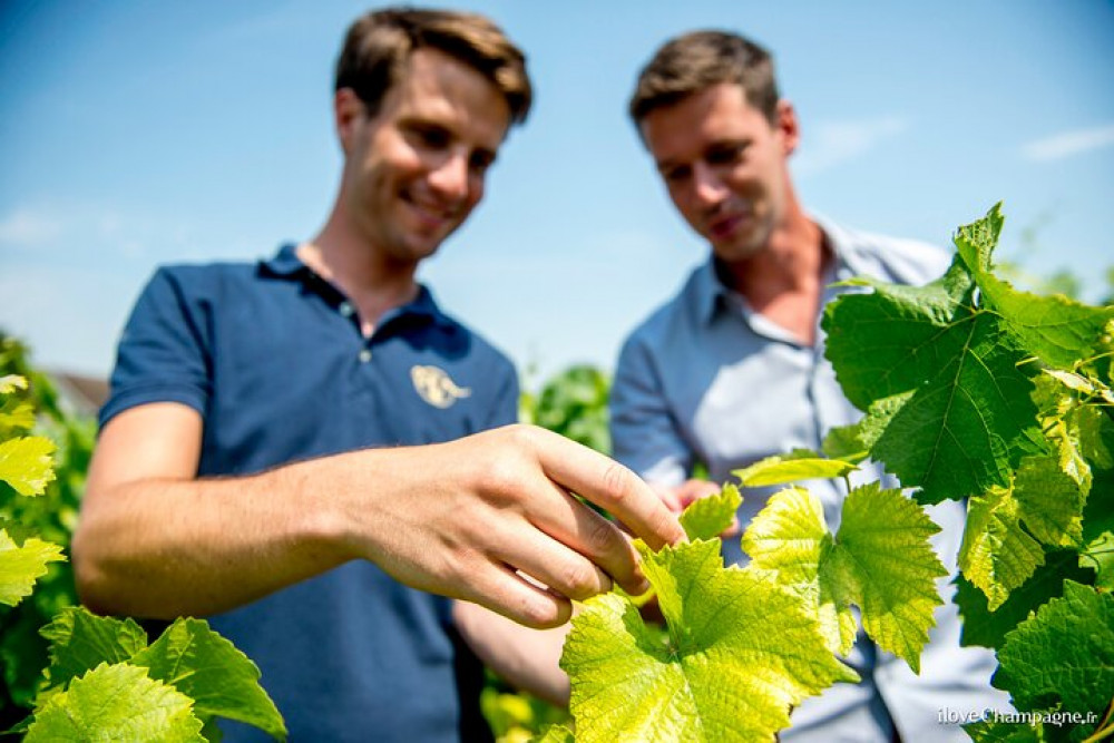 Afternoon Epernay & Family Growers From Reims