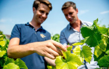 Bordovino Wine Tasting Day Tours1