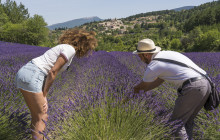 Bordovino Wine Tasting Day Tours1