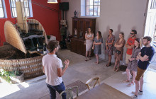 Bordovino Wine Tasting Day Tours7