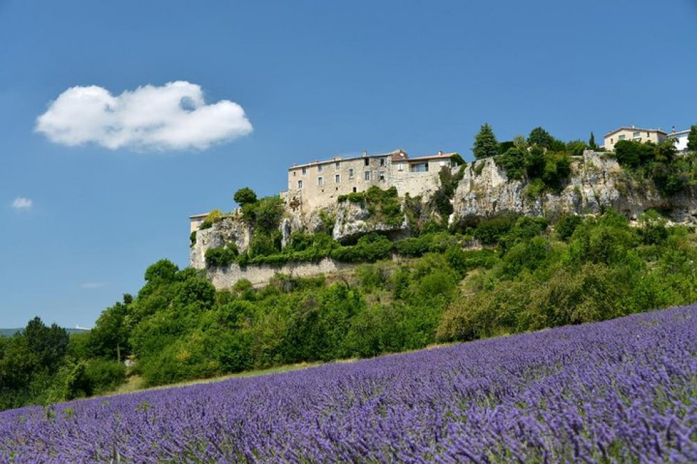 Lavender Morning Tour in Luberon from Avignon