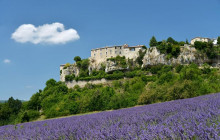 Bordovino Wine Tasting Day Tours1