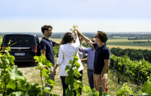 Bordovino Wine Tasting Day Tours4