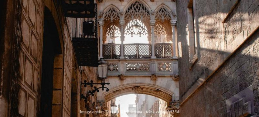The Gothic Quarter: Private Tour With Barcelona Cathedral, photo 3 of 9