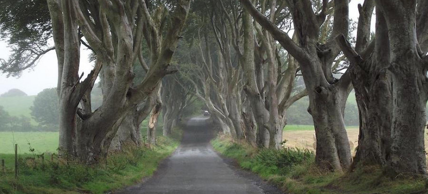 Game of Thrones Filming Locations: Private Day Trip from Belfast