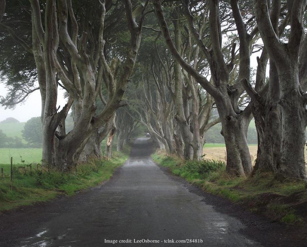 Game of Thrones Filming Locations: Private Day Trip from Belfast