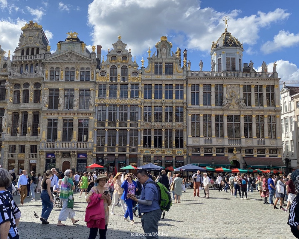 Welcome to Brussels: Private Walking Tour