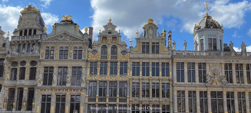 Welcome to Brussels: Private Walking Tour