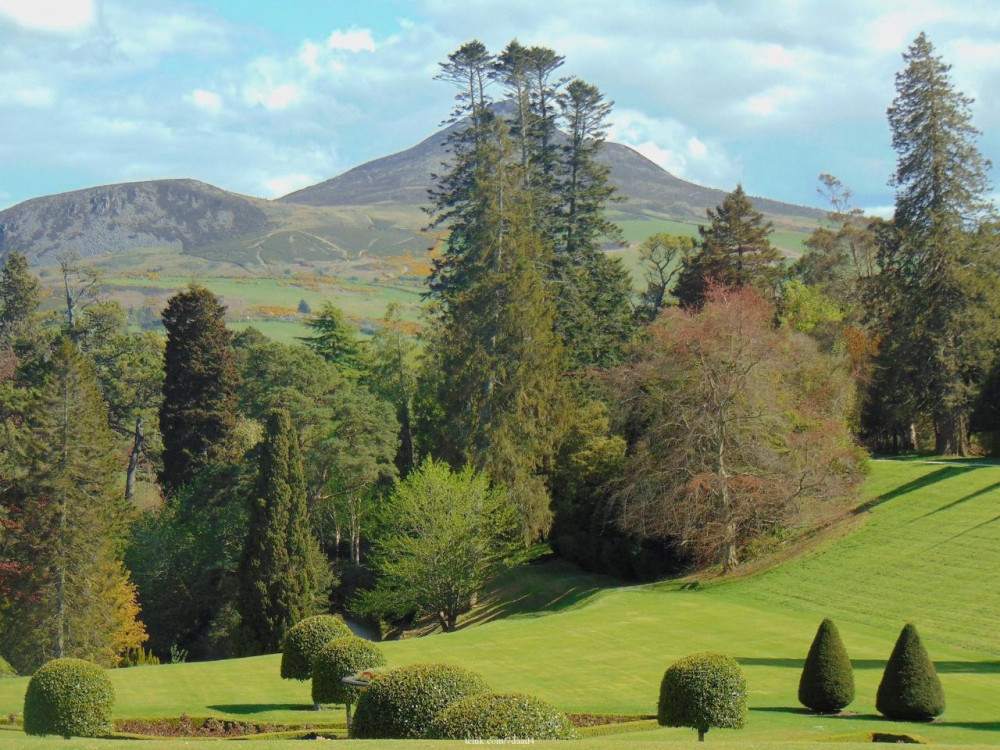 Glendalough & The Wicklow Mountains: Private Day Trip From Dublin