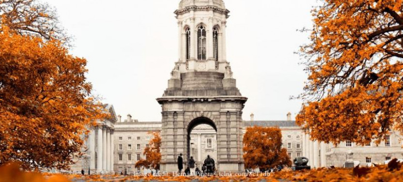 Dublin In A Day: Book of Kells & Guinness Storehouse Private Tour