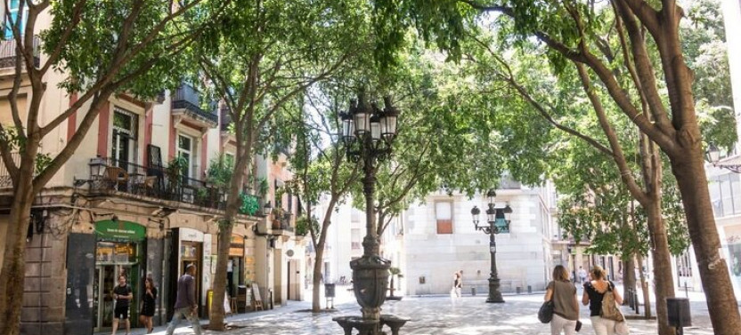 Boqueria and Local Markets Food Tour in Barcelona