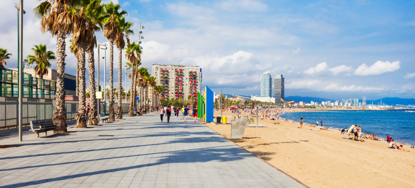 Half-Day Barcelona Panoramic City Tour by Private Vehicle, photo 3 of 9