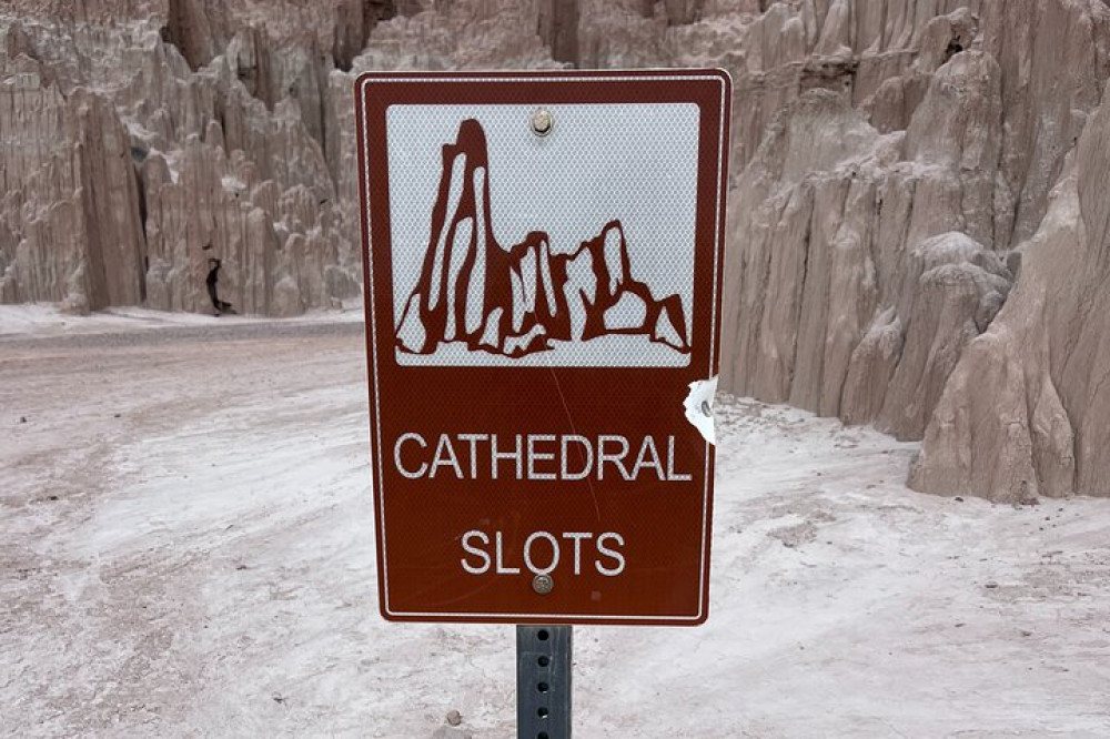 JNS Just Never Stop LLc.