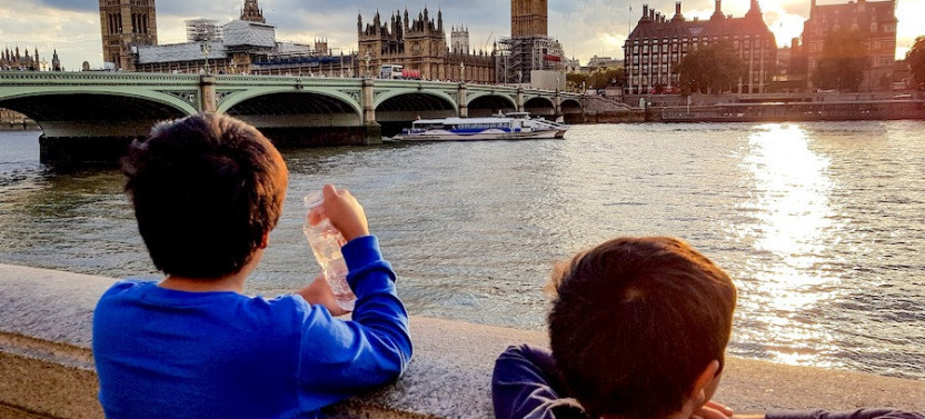Family-Friendly Royal London: Private Half-Day Tour & London Eye