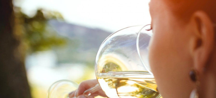 Wine Tasting in Napa Valley: Private Excursion From San Francisco