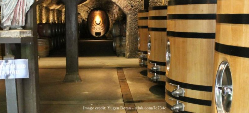 Wine Tasting in Napa Valley: Private Excursion From San Francisco