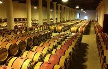 Bordovino Wine Tasting Day Tours3