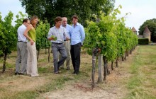 Bordovino Wine Tasting Day Tours1