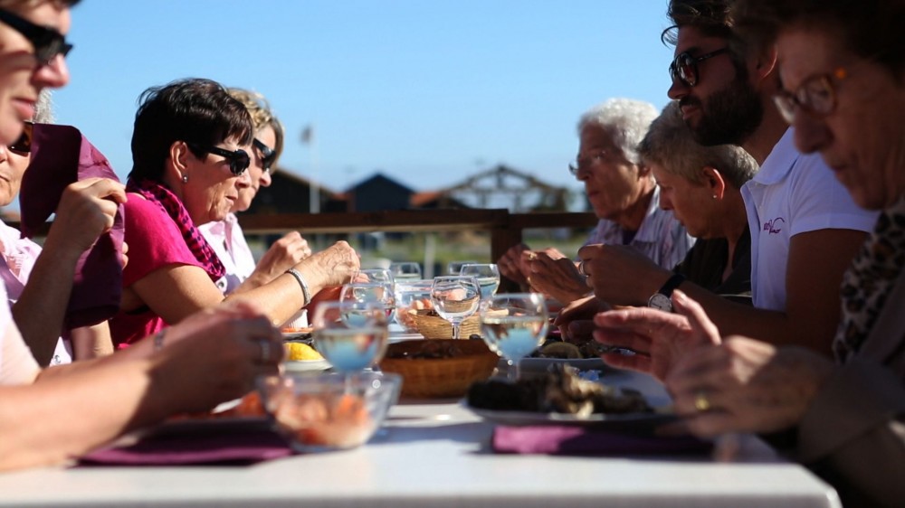 Bordovino Wine Tasting Day Tours