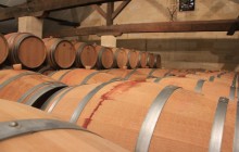 Bordovino Wine Tasting Day Tours3