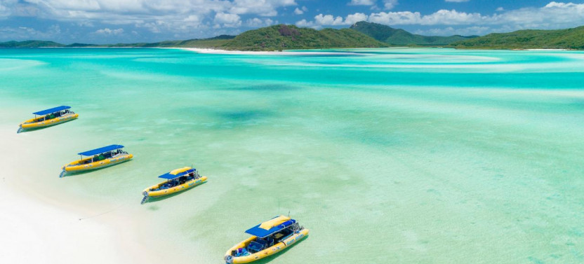 Whitehaven Beach: Bushwalk, Snorkel & Relaxation from Daydream Island