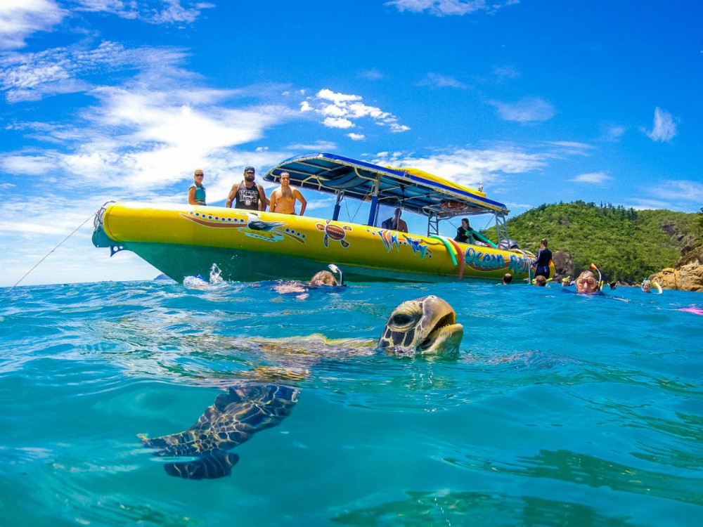 Whitsundays Snorkel & Hill Inlet Beach Experience from Daydream Island