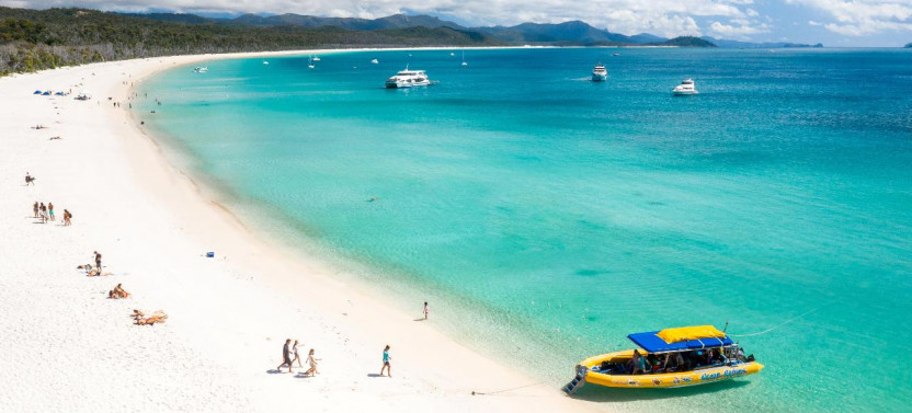 Whitehaven Beach Adventure: Bushwalk, Snorkel & Relaxation