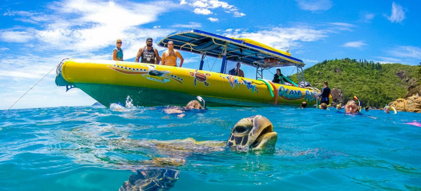 Whitsundays Snorkel & Hill Inlet Beach Experience
