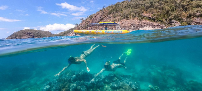 Whitsundays Snorkel & Hill Inlet Beach Experience