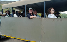 African Okapi Tours & Travel5