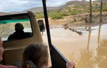 African Okapi Tours & Travel22